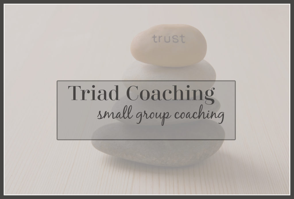 Triad Coaching Small Group